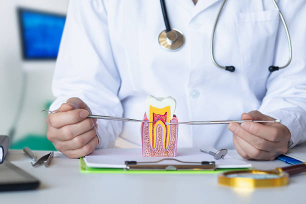 Best Cracked Tooth Emergency Dentist  in Mackinaw, IL